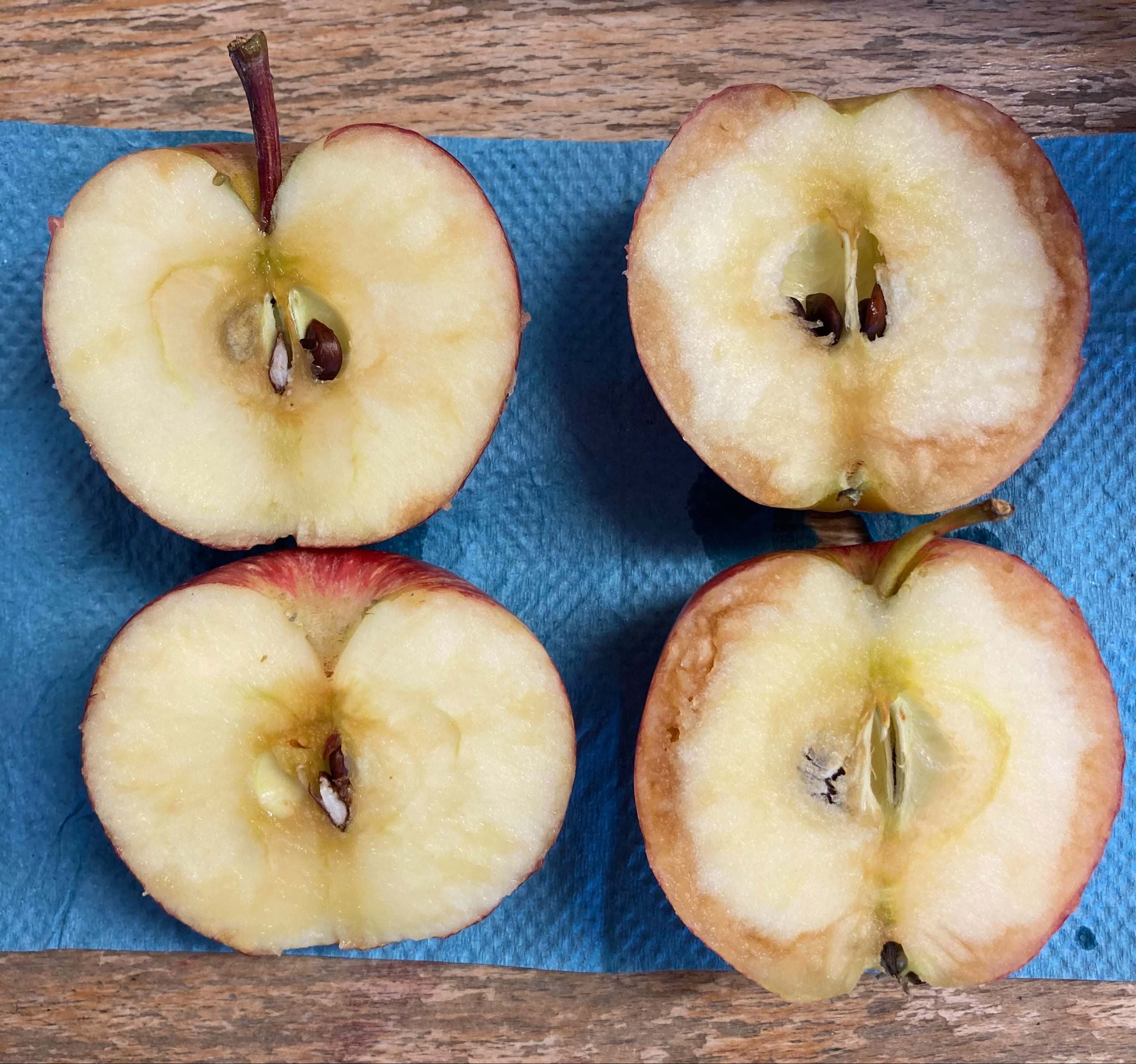 Year 4 Anti Bullying Lesson Apples Hurt On The Inside Too