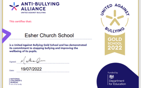Anti Bullying Certificate 2022